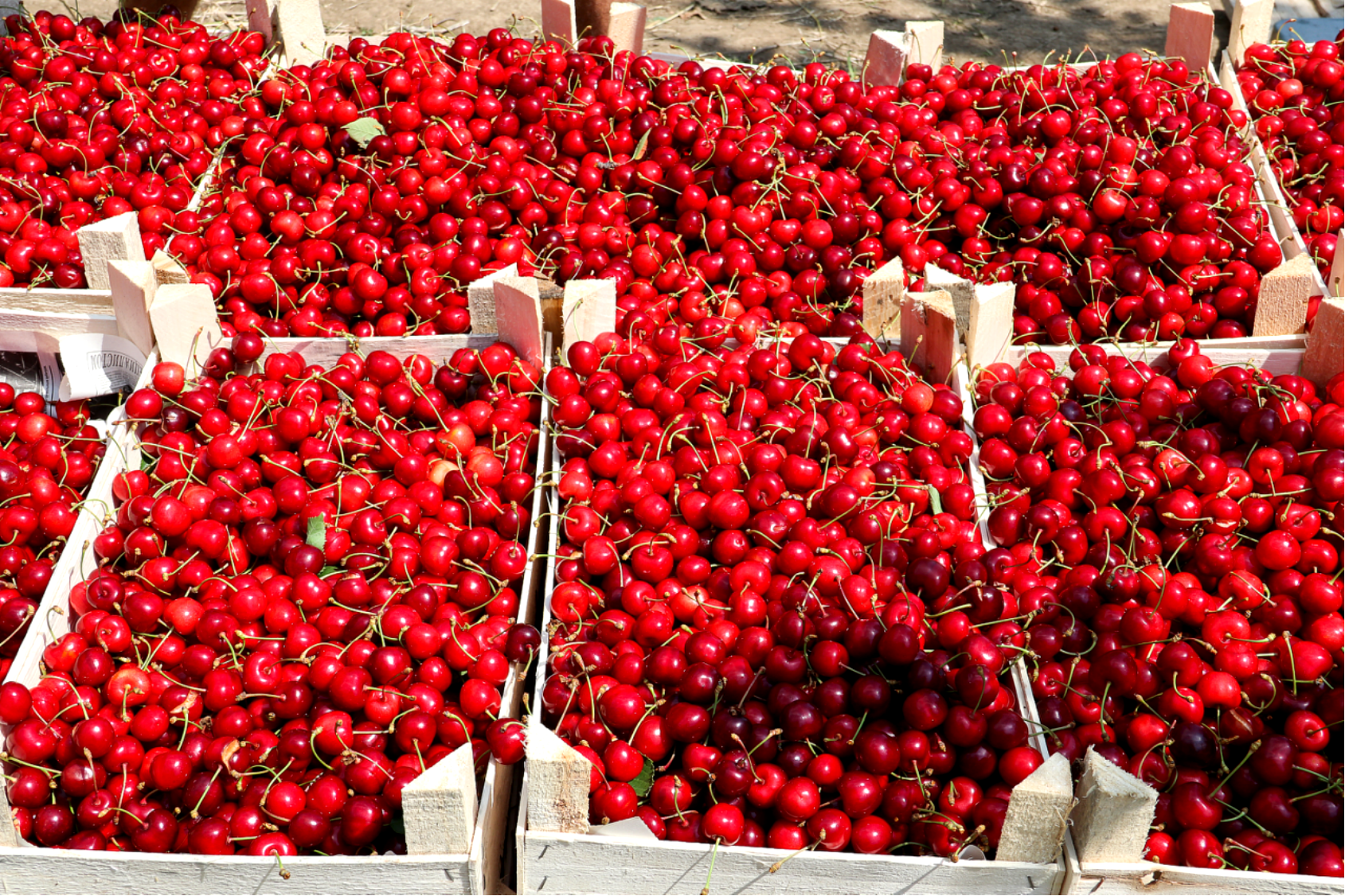 水肥一體化 水肥一體化
